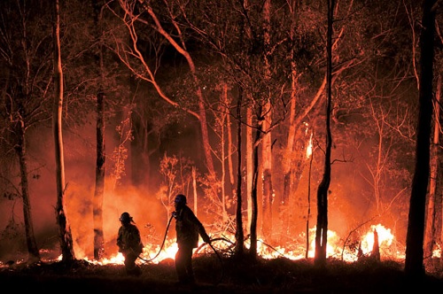 オーストラリアの森林火災