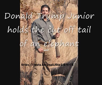 トランプ大統領ジュニア象を意味なく殺す