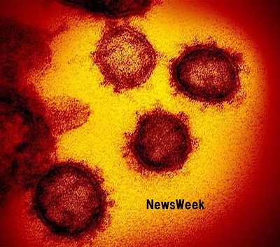 新型コロナウイルス