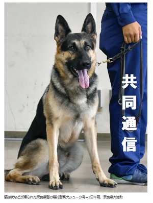 警察犬を表彰、遭難中の教授発見